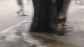 VIDEO Oamenii sunt invadați de ape. Ciclonul ajunge în Romania